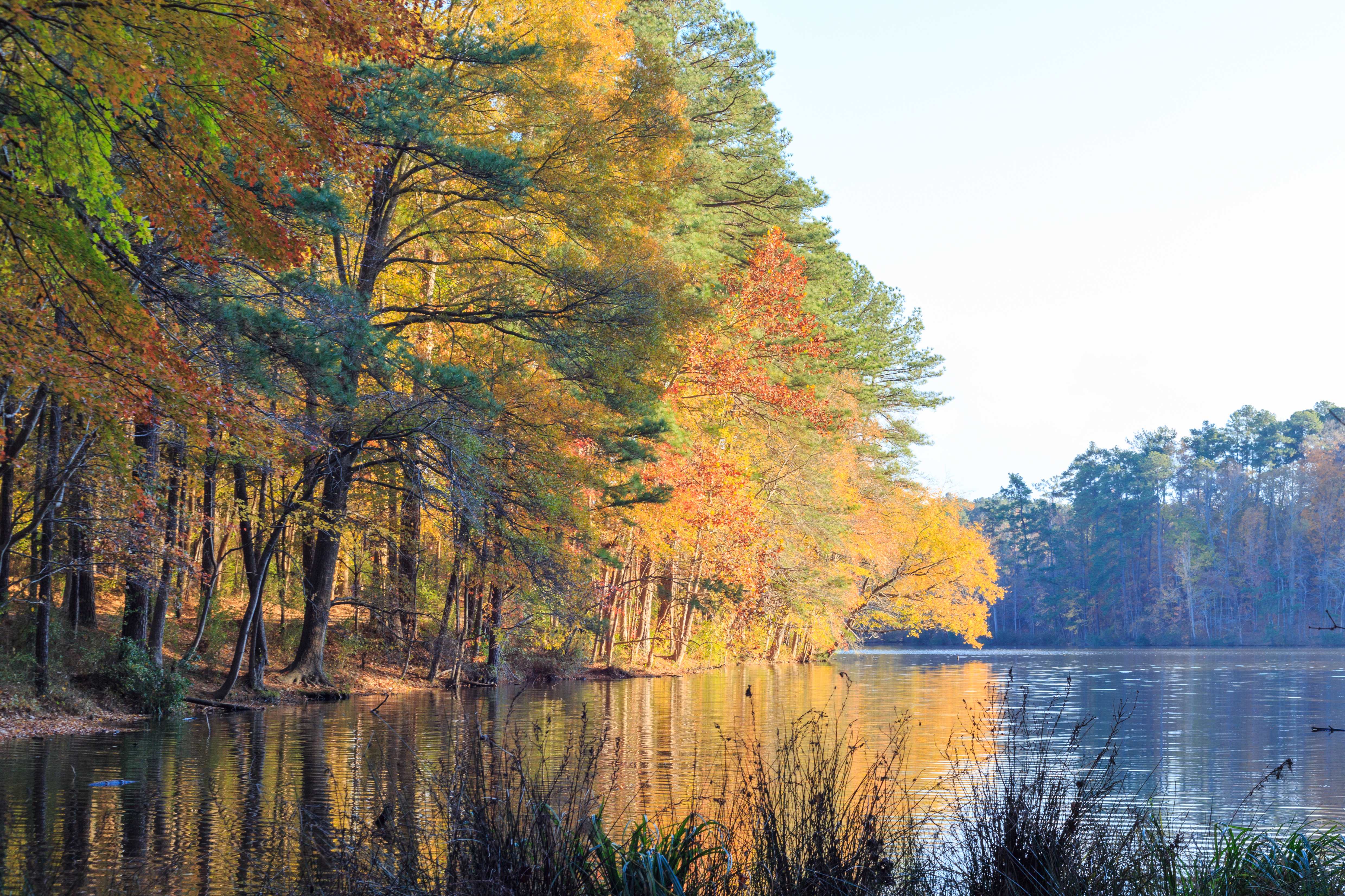Beautiful Raleigh scenery
